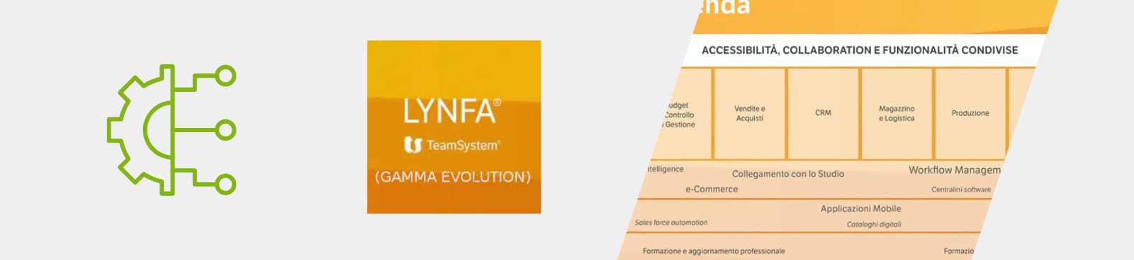Integrazione con TeamSystem Lynfa (Gamma Evolution)
