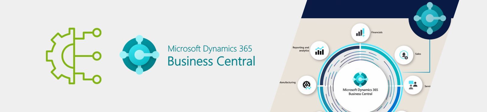 Microsoft Dynamics NAV 